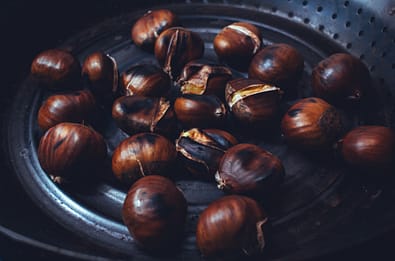 how to roast chestnuts on a grill